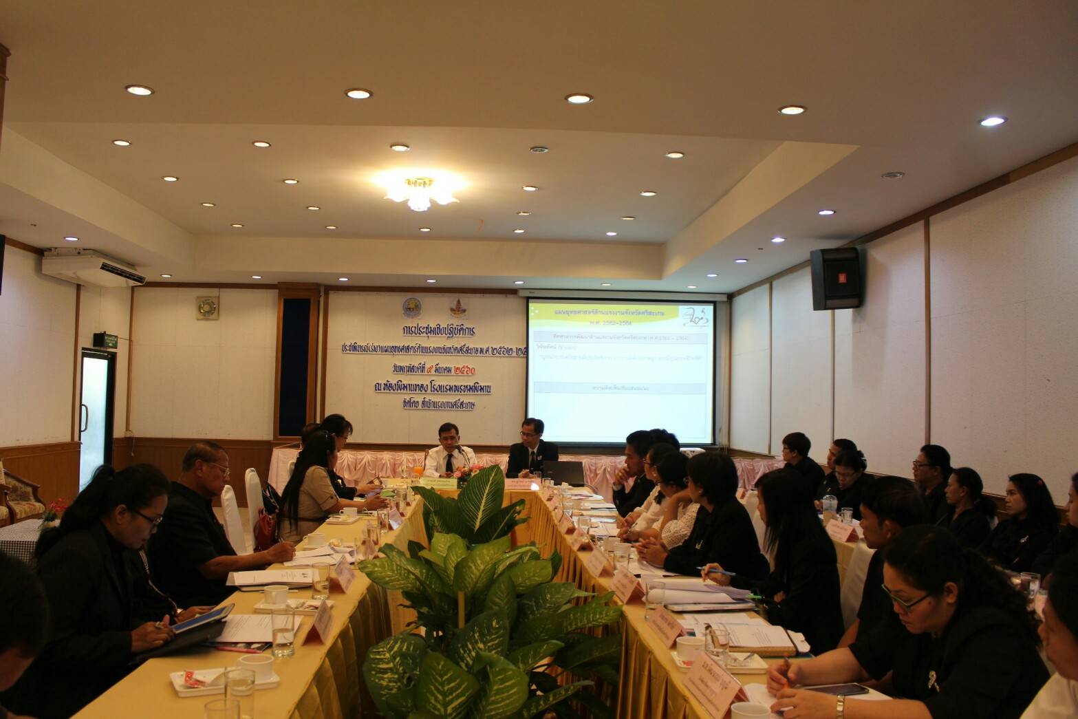 Mol-Thailand
